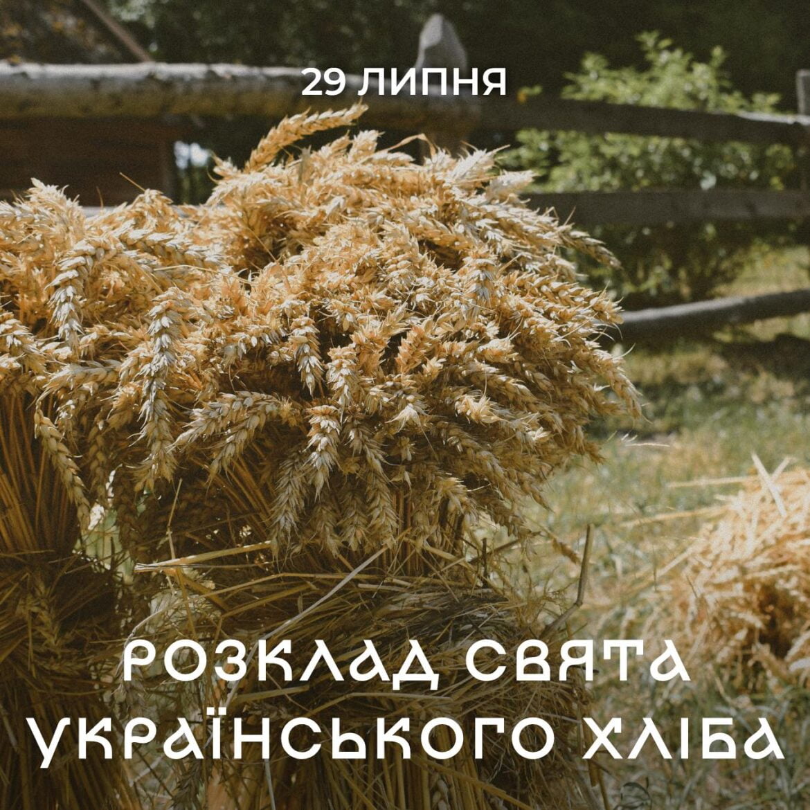 музей пирогов свято українського хліба