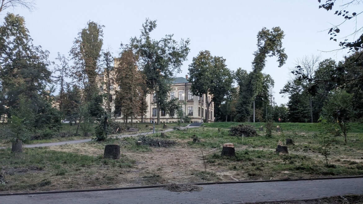 зрізані дерева парк політехнічний університет київ