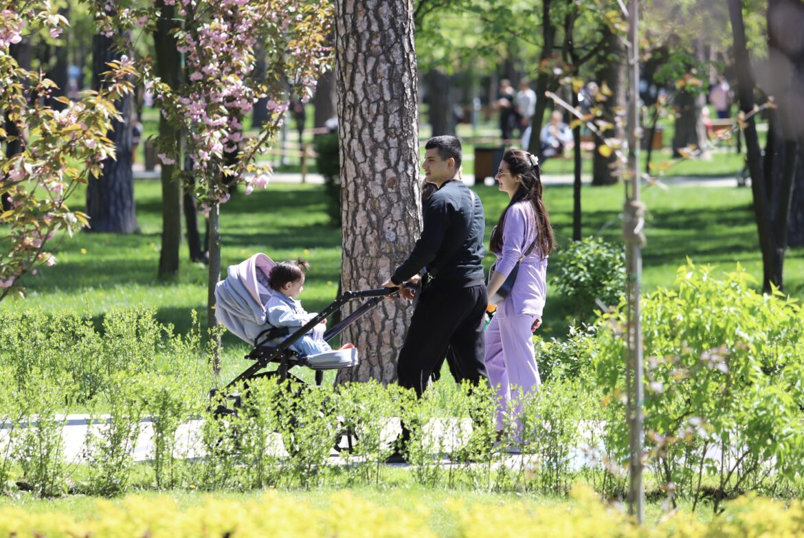 Під час війни "Київзеленбуд" витрачає мільйони гривень із бюджету на облаштування парків та скверів.
