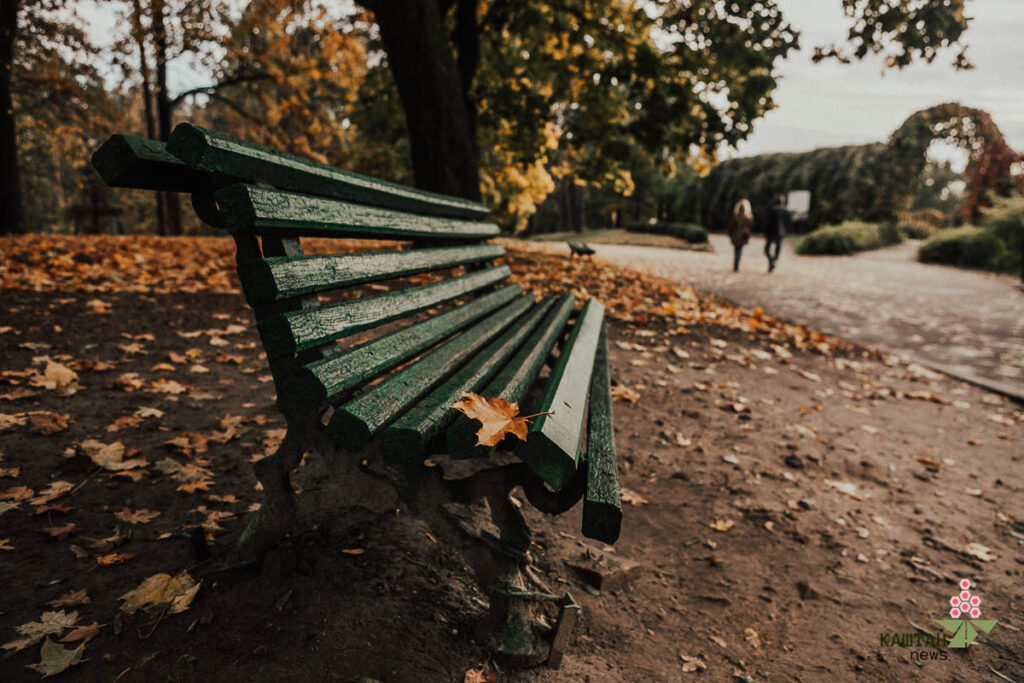 Лавочка в ботсаду
