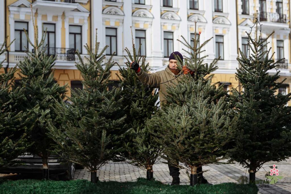 Ялинка на Софійській