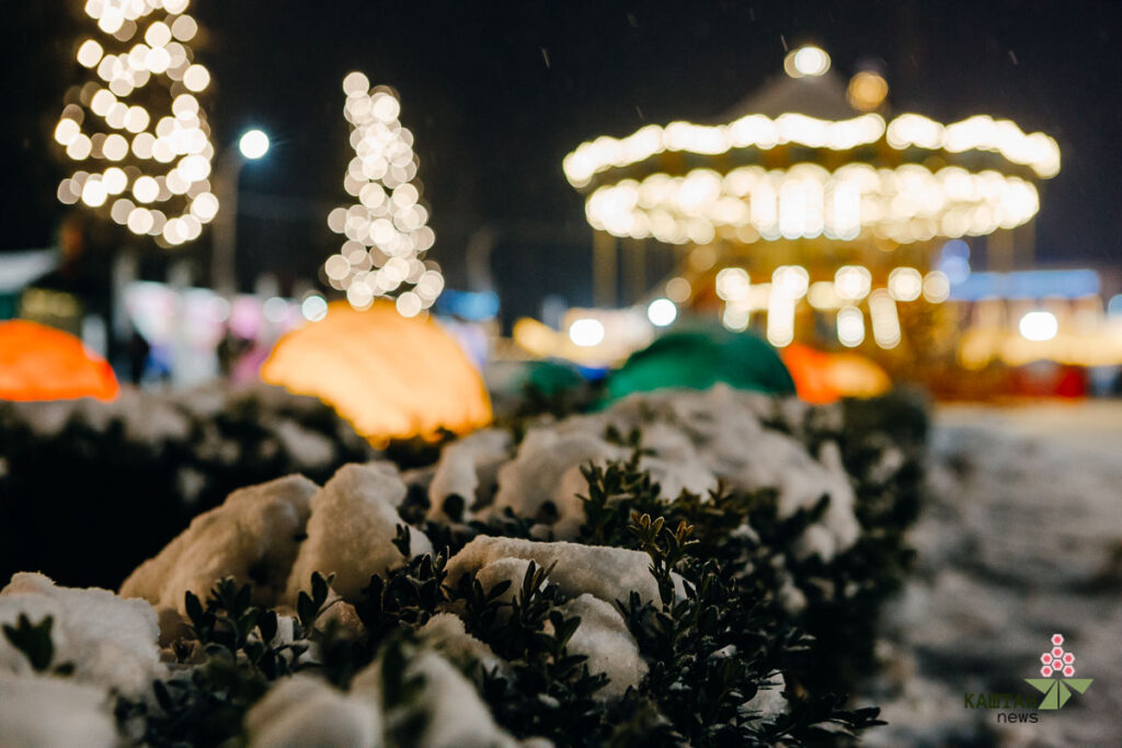 "Зимова країна" на ВДНГ