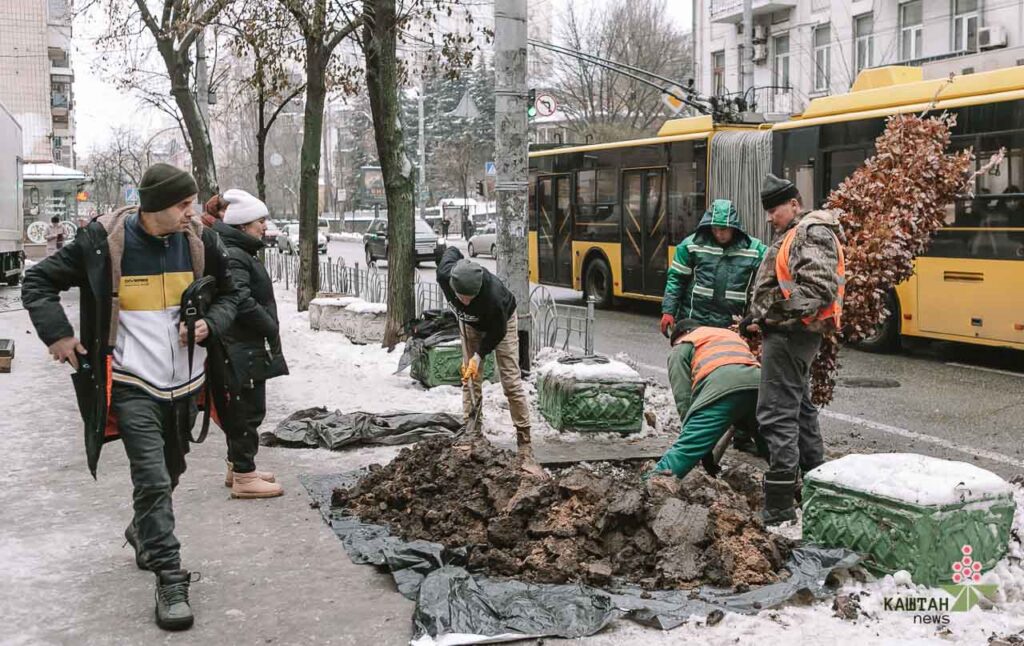 Дуб на честь Романа Ратушного