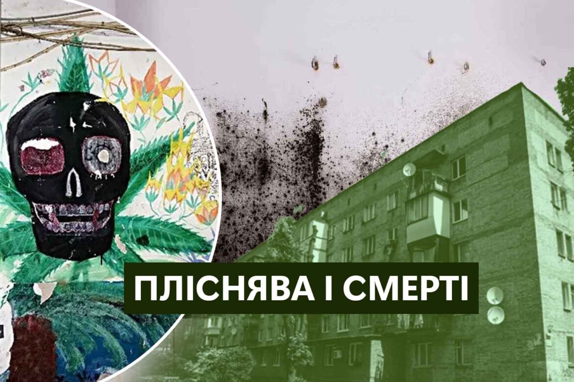 Міська влада не може відселити мешканців гуртожитку, стіни якого покриті пліснявою та грибком.