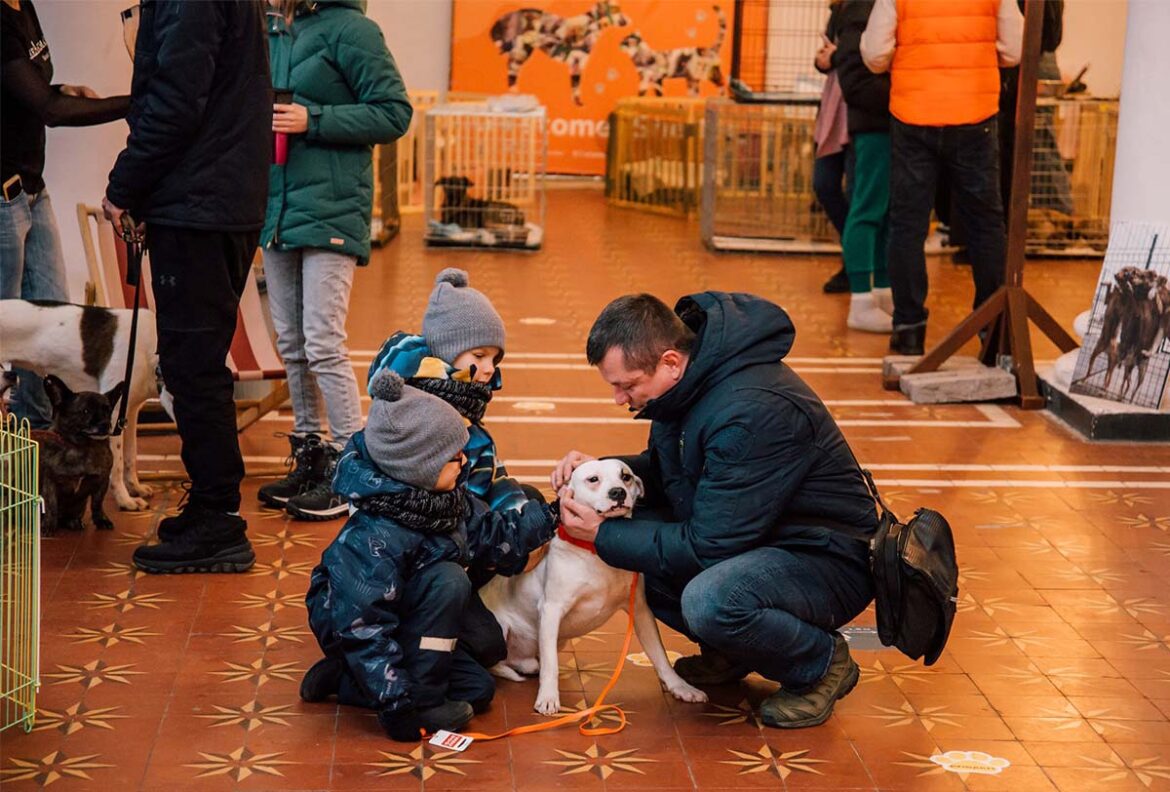 Під час заходу на ВДНГ відвідувачі можуть обрати собі безпритульних собак.