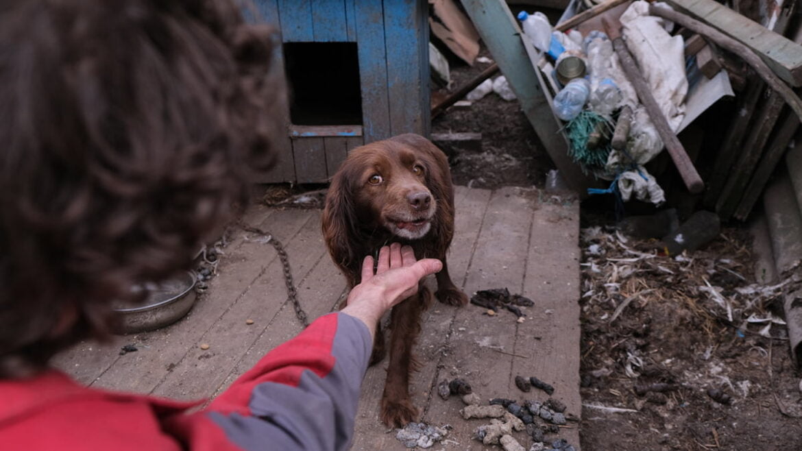 Команда порятунку тварин міста Києва розпочинає підготовку до евакуаційної місії в прифронтових районах Донецької області.