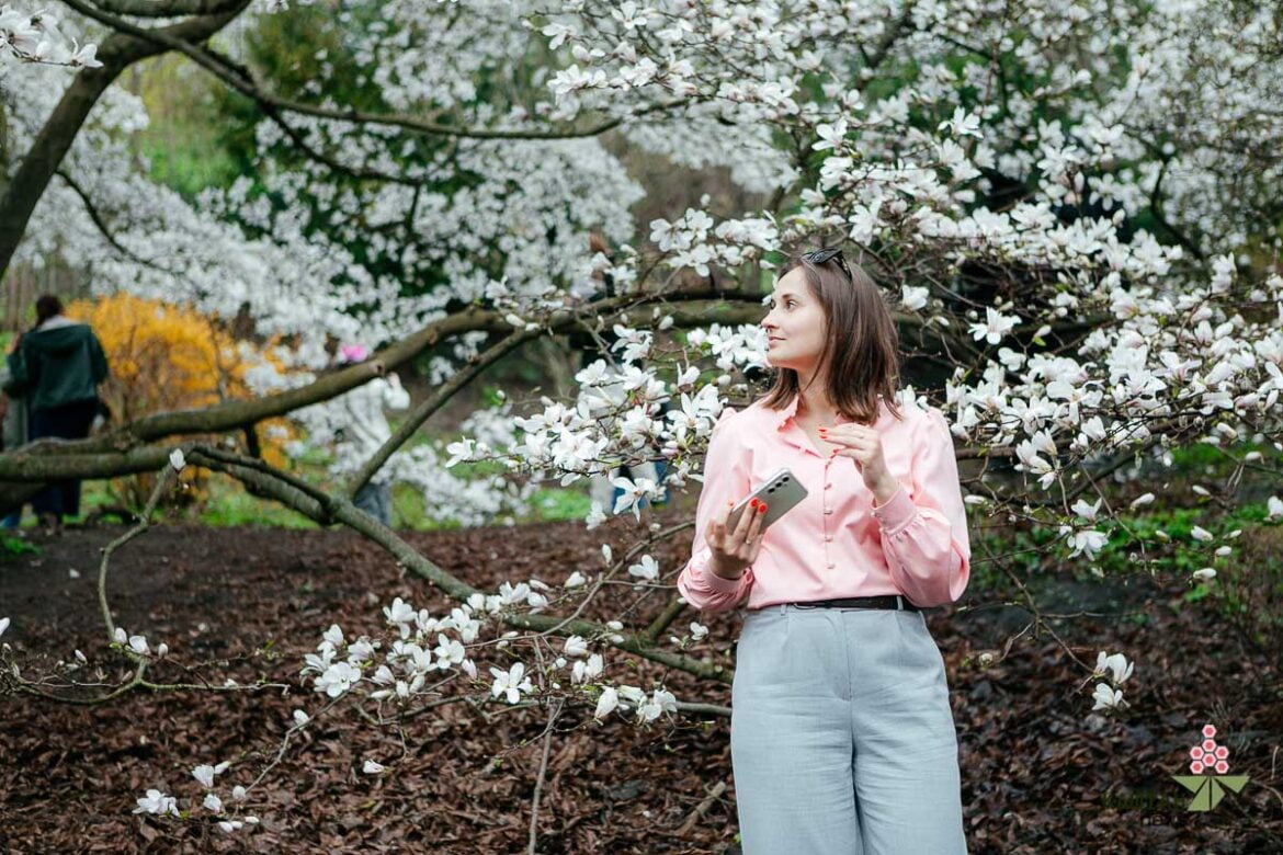 магнолії в ботсаду Фоміна