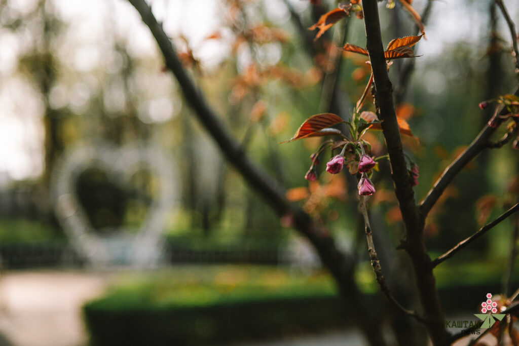 Погода квітень