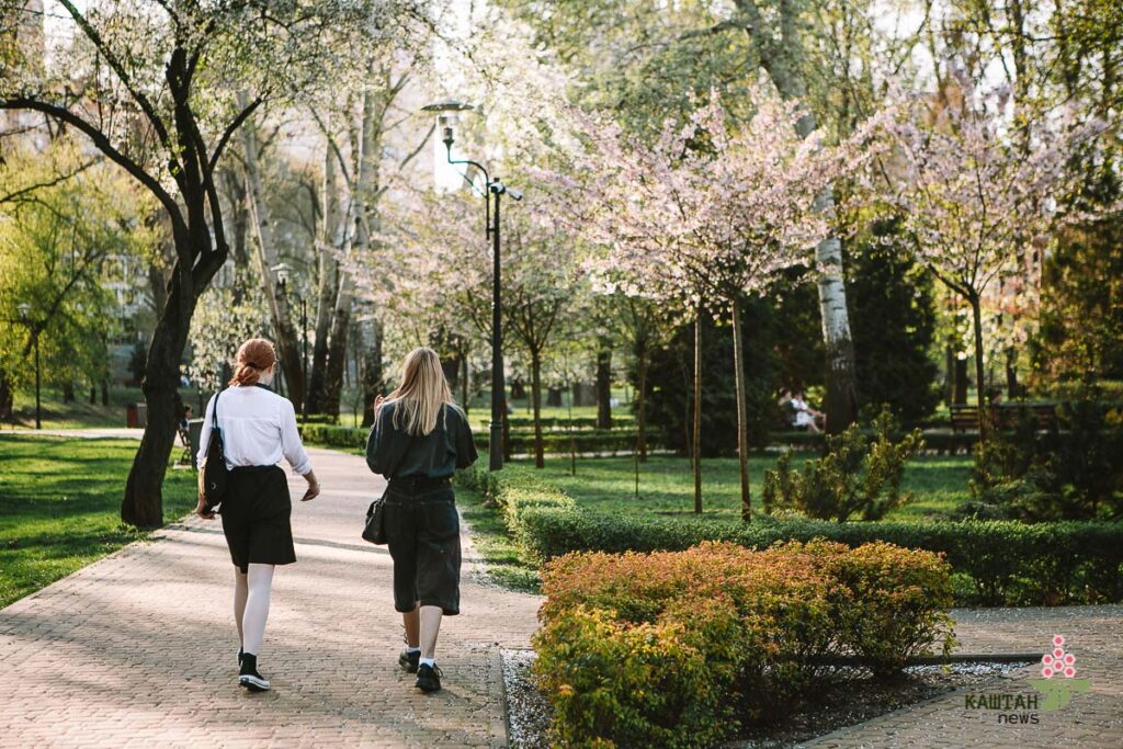 Парк Наталка сакури