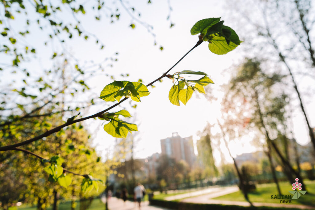 Погода квітень