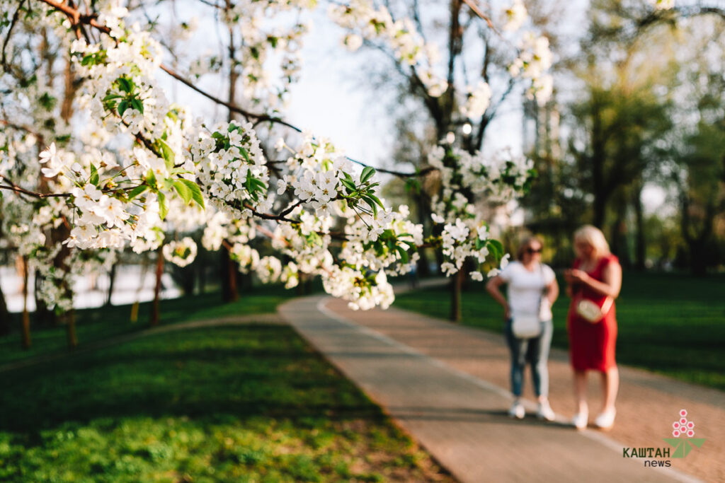 Погода квітень