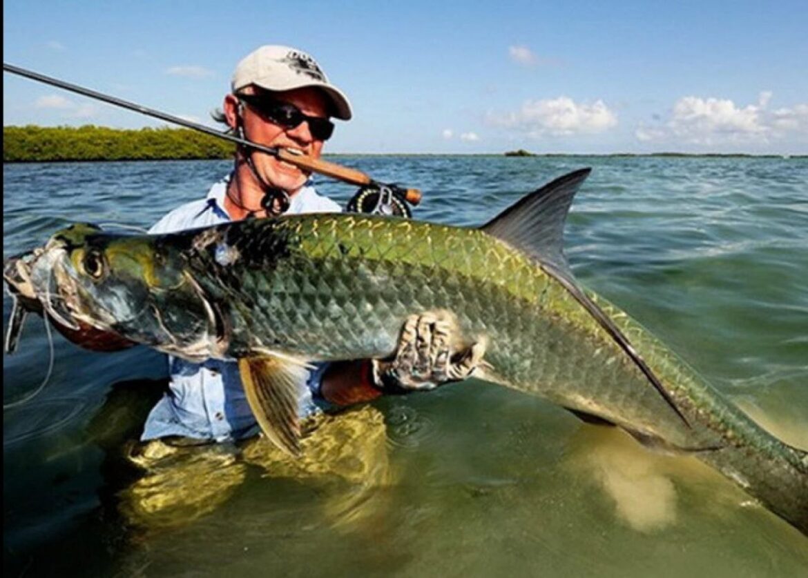 Починаючи з 1 листопада, в українських водоймах запроваджується осінньо-зимова заборона на вилов риби в зимувальних ямах.