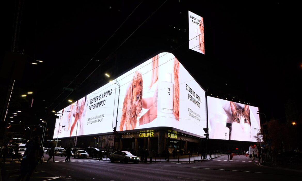 Мешканці столиці закликають міську владу розглянути питання про вимкнення в цілях економії електроенергії більшості зовнішньої реклами в місті.