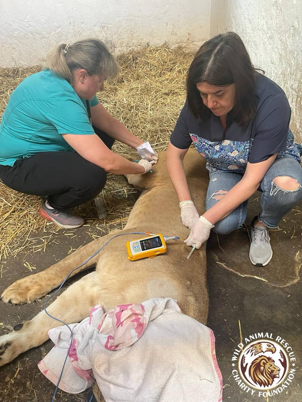 Ветеринари