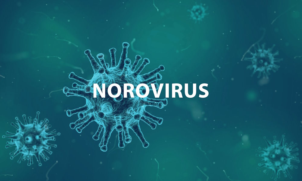 норовірусна інфекція