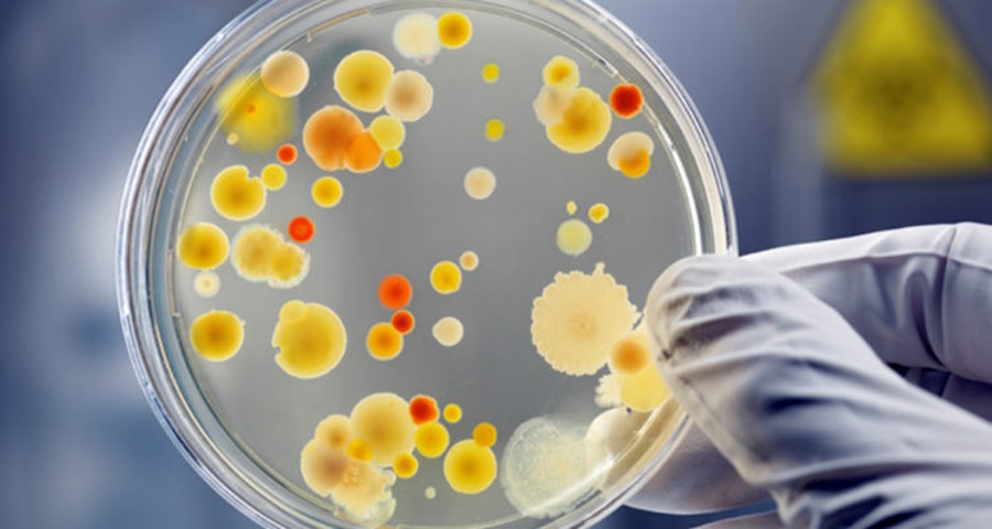 ротавірусна інфекція